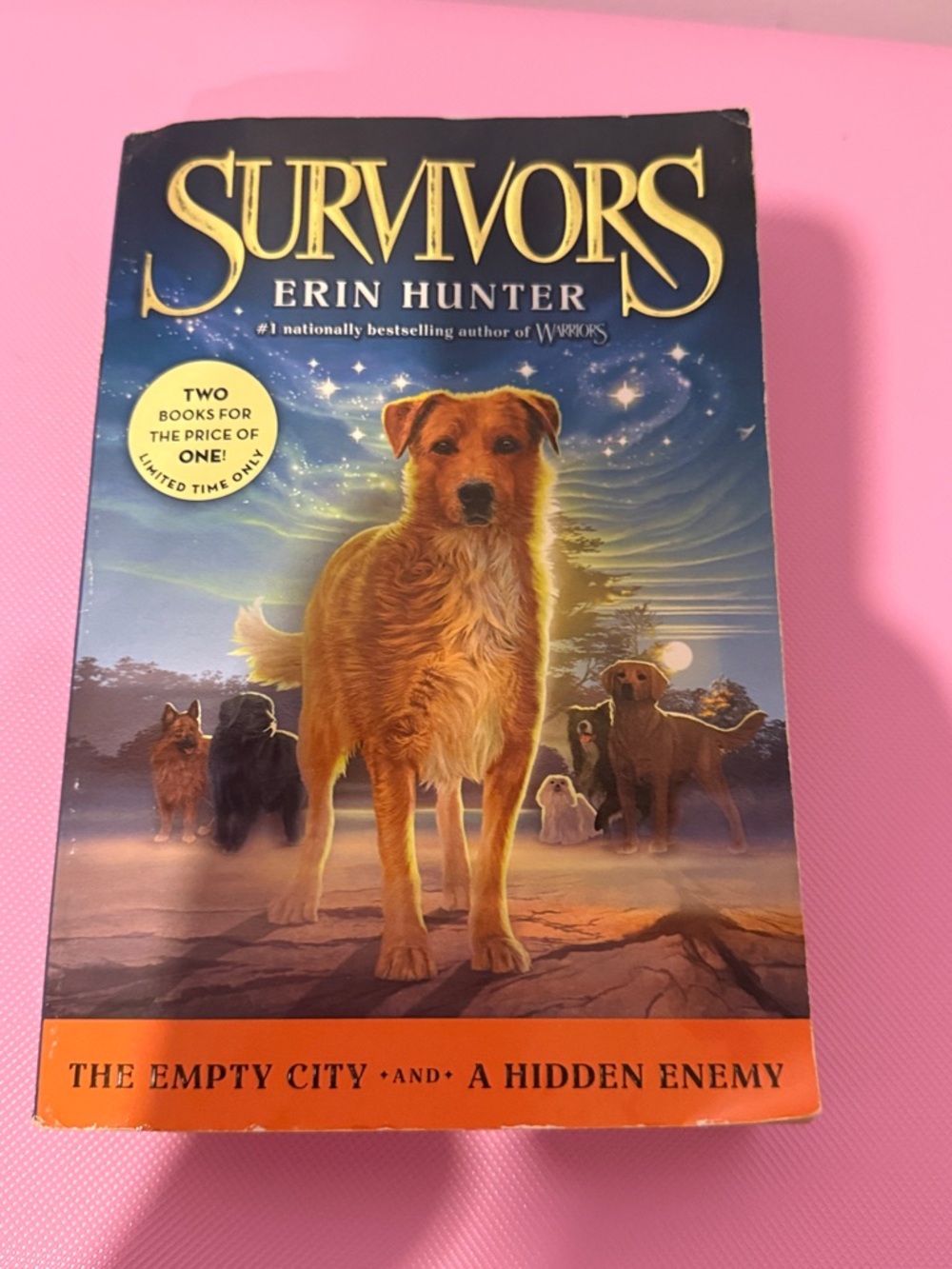 Survivors by Erin Hunter - The Empty City & A Hidden Enemy 2 in 1 | 3 for $30